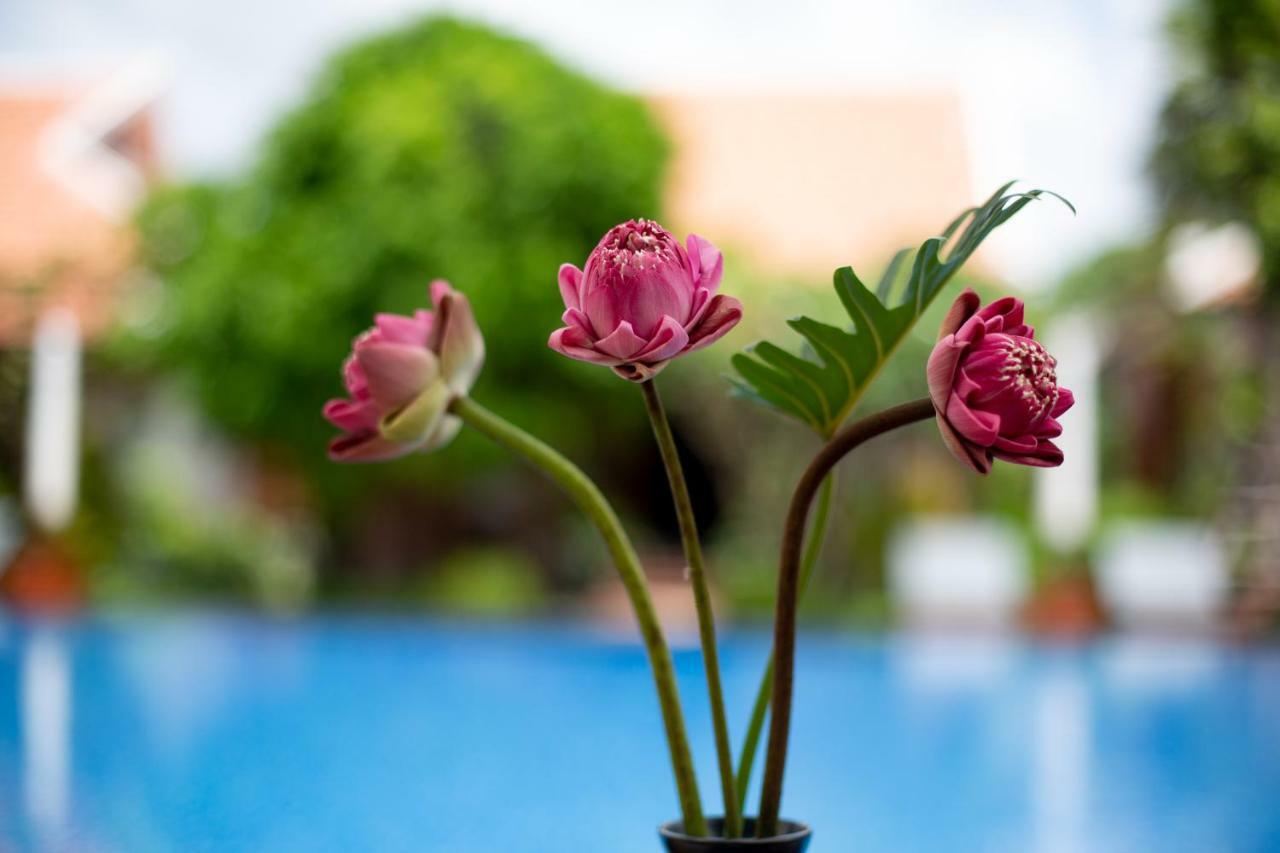 Angkor Privilege Resort & Spa Siem Reap Ngoại thất bức ảnh